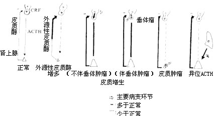 皮质醇增多症