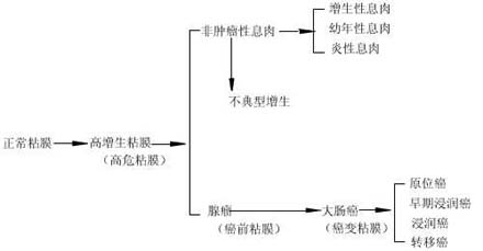 半乳糖的代谢过程